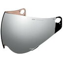 アイコン ICON シールド VARIANT PRO用 RSTシルバー 0130-0887 JP店