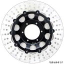 サンスター フロントディスクローター トラッドタイプ φ320 Z1 緑 T-22HF-GR JP店(2)