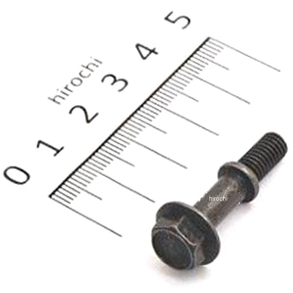 ¨Ǽ ޥϽ ܥ1 5ML-E5481-00 JPŹ