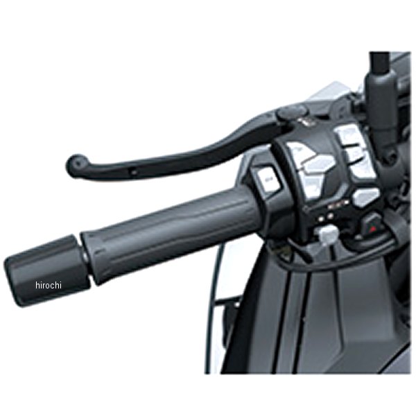 ���掠������ ����åץҡ����� 21ǯ ZH2SE 99994-1667 JPŹ