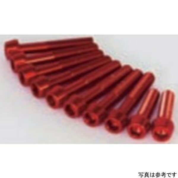 【メーカー在庫あり】 SP武川 アルミ ボルト クランクケースヨウ (シルバー) 00-06-1143 JP店