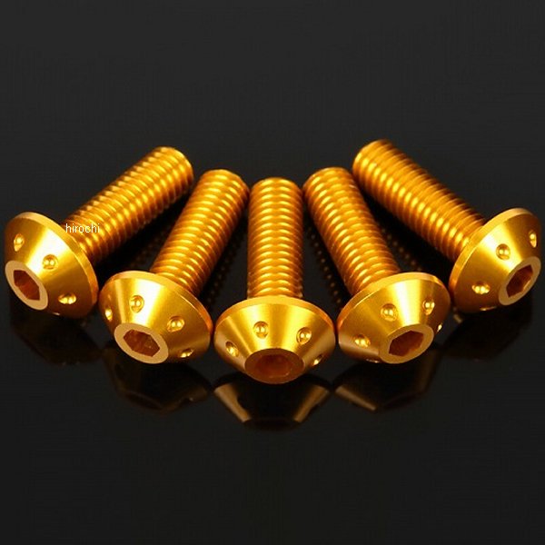 �ڥ᡼�����߸ˤ���� ���ԡ��ɥ� SPEEDRA �����꡼��ܥ�� ������ʥå� 6�ĥ��å� ������� ASB0206GD JPŹ