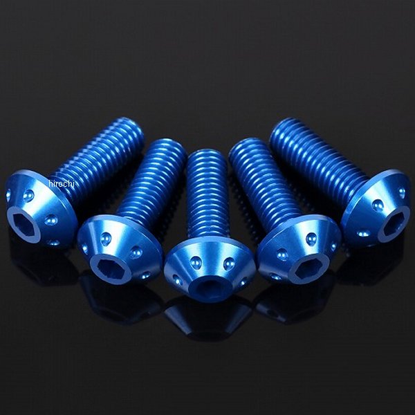 【メーカー在庫あり】 スピードラ SPEEDRA スクリーンボルト ウェルナット 6個セット 青 ASB0206BE JP店