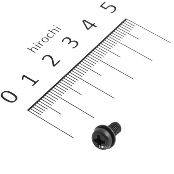 ���掠������ �������դʤپ��ͤ� ʿ�� 4X8 224AB0408 JPŹ