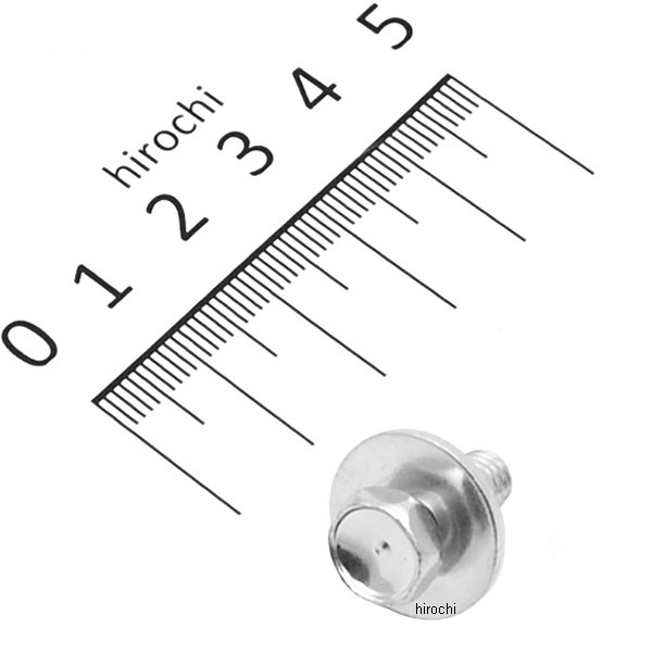 カワサキ純正 ボルト 小型ツバ付き 132E0610 JP店