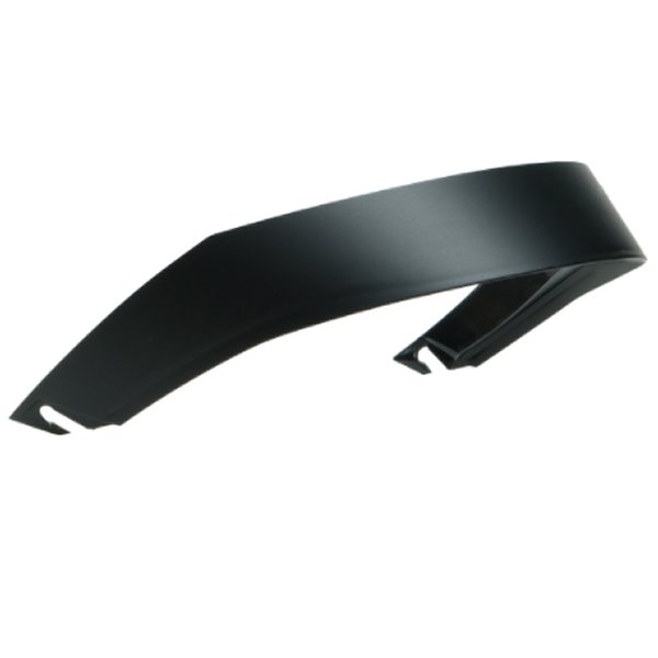 エージーブイ AGV プロスポイラー PISTA GP RR/R マットブラック KIT6024400401 JP店