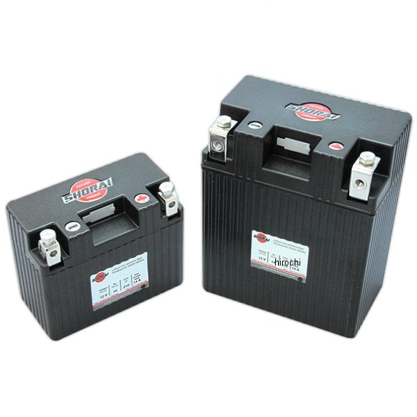 ピーエムシーPMCPAMSSHORAILFX19A4-BS12互YTZ10SPMS-218JP店