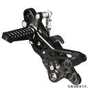 アエラ AELLA ステップ ドゥカティ Multi 1200DVT 黒 AE-10083 BK JP店(2)