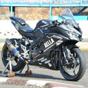 アエラ AELLA アールズギアコラボ リアルスペックマフラー 車検対応 グラデーション AE-42024-SC JP店