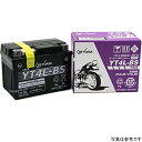 GSユアサ MFバッテリー 制御弁型 12V (液入り充電済) YT4L-BS-C JP店