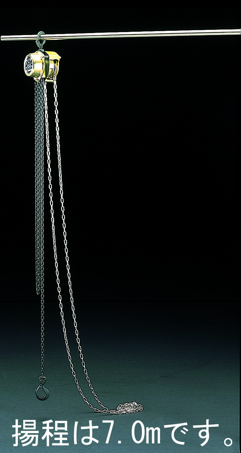 【メーカー在庫あり】 エスコ ESCO 150kgx7.0m チェーンブロック 000012028728 JP店
