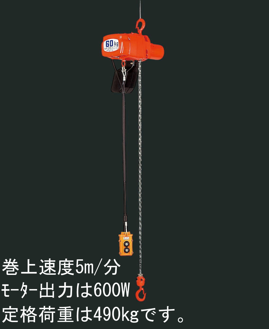 【メーカー在庫あり】 エスコ ESCO 490kgx5.0m 電動チェーンブロック 000012025331...