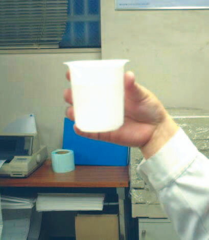 �ڥ᡼�����߸ˤ���� ������ ESCO 100ml �ݥ�ӡ����� 000012233446 JP