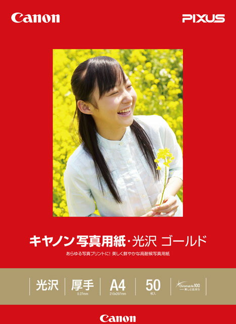 【メーカー在庫あり】 エスコ ESCO A4 インクジェットプリンター用 写真用紙(50枚) 000012084053 JP