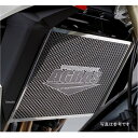 アグラス AGRAS コアガード Aタイプ ロゴ有り GSR750 309-399-A00 JP店