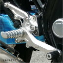 アグラス AGRAS バックステップ XJR1200、XJR1300 312-251-000 JP店