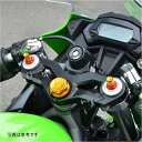 アグラス AGRAS ハンドルセット イニシャルアジャスター付き Ninja250SL 赤 321-495-000R JP店