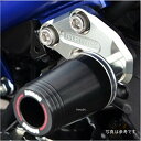 アグラス AGRAS レーシングスライダー フレーム φ60 ステー付き ロゴ有り MT-25 白 342-277-003X JP店