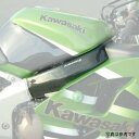 ピラミッドプラスチック Pyramid Plastics フレームカバー 98年-99年 ZX6-R カーボン 02311A JP店