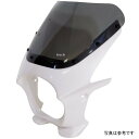 ワールドウォーク 汎用ビキニカウル AERO ブルーイッシュホワイトカクテル/スモーク ds-01aero-15 JP店