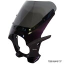 ワールドウォーク 汎用ビキニカウル AERO ミヤビマルーン/スモーク ds-01aero-16 JP店(2)