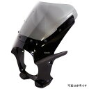 ワールドウォーク 汎用ビキニカウル AERO ブラックメタリックX/クリア ds-01aero-12 JP店