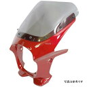 ワールドウォーク 汎用ビキニカウル AERO ビビッドレッドカクテル7/クリア ds-01aero-19 JP店