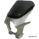 ワールドウォーク 汎用ビキニカウル AERO メタリックシャンパンゴールド/クリア ds-01aero-k3 JP店