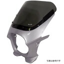 ワールドウォーク 汎用ビキニカウル AERO フォースシルバーメタリック/スモーク ds-01aero-h2 JP店