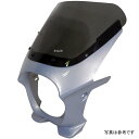 ワールドウォーク 汎用ビキニカウルR ムーンライトシルバー/クリア ds-01r-k2 JP店
