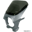 ワールドウォーク 汎用ビキニカウルR マグナムシルバーメタリック/スモーク ds-01r-44 JP店