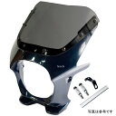 ワールドウォーク ビキニカウルR Z900RS キャンディトーンブルー/スモーク ds-06r-6 JP店