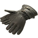 【メーカー在庫あり】 デグナー DEGNER ウィンターグローブ 黒 Mサイズ WL235W JP店(2)