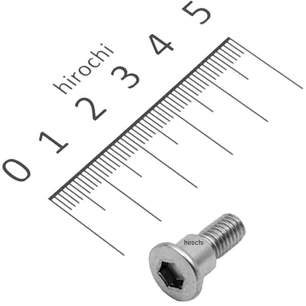 【メーカー在庫あり】 ホンダ純正 スクリュー パン 6×14 90107-MM5-000 JP店