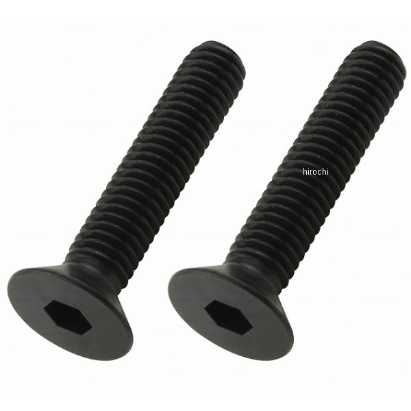 【メーカー在庫あり】 ポッシュ POSH 皿キャップボルト M6 30mm 2本入り 黒 990630-K2 JP店
