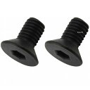 【メーカー在庫あり】 ポッシュ POSH 皿キャップボルト M8 15mm 2本入り 黒 990815-K2 JP店(2)
