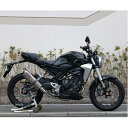 ダブルアールズ WR'S フルエキゾースト SS-OVAL SUSポリッシュ JMCA認証 18年21年 CB250R ソリッド FK1250JM JP店(2)