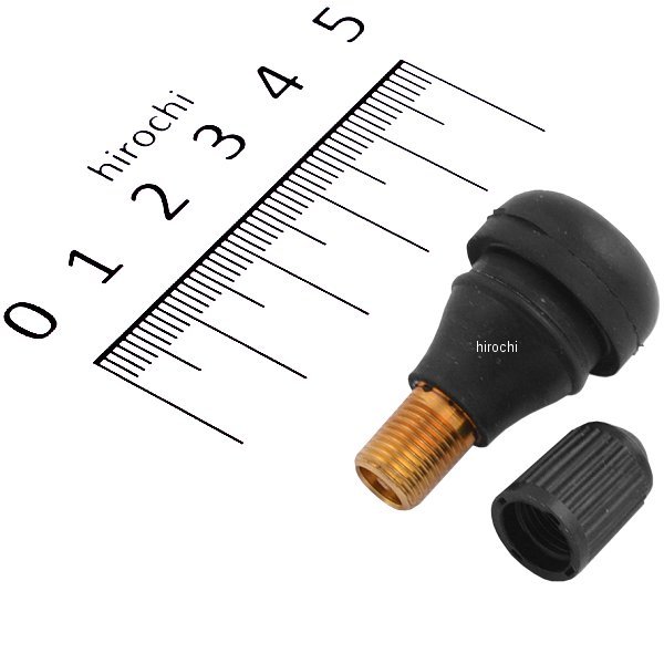 ��¨Ǽ�� �֥�¥��ȥ� BRIDGESTONE ���塼�֥쥹 �Х�� TR-412 ���ȥ졼�� ���硼�� 32501033 JPŹ