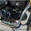 オーヴァー OVER ダウンチューブ 21年-22年 グロム125 黒 56-223-01B JP店