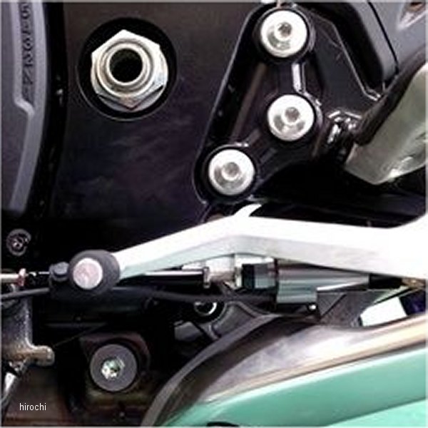 KAWASAKI - テラモト TERAMOTO シフタースイッチ 21年以降 ハヤブサ チタン 4436-21SW JP店