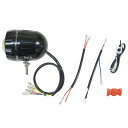 プロテック PROTEC FLT-S02 LEDフォグライト 12V 28W 6000K 18年 GSX-S125 66009 JP店