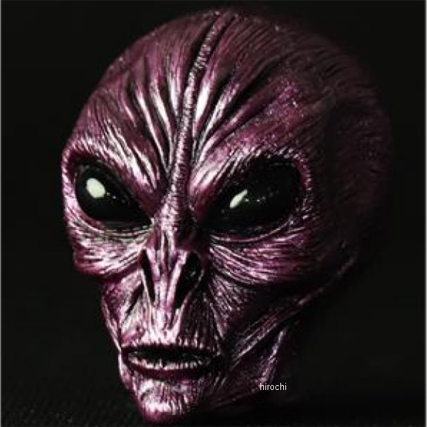 GOODS ���å� AREA51 �ӥå��Х�֥���å� M31Andromeda MMS-VC073 JPŹ