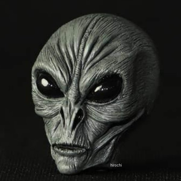 GOODS ���å� AREA51 �ӥå��Х�֥���å� Classic MMS-VC074 JPŹ