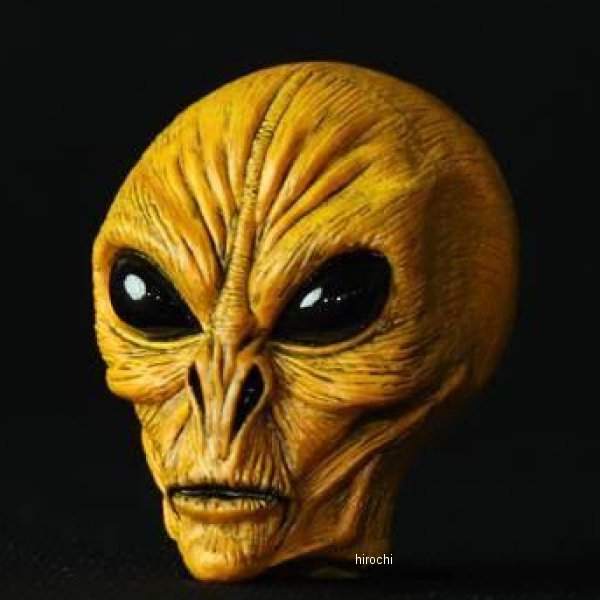 �ڥ᡼�����߸ˤ���� GOODS ���å� AREA51 �ӥå��Х�֥���å� Saturn MMS-VC076 JPŹ