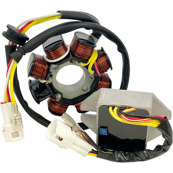 【USA在庫あり】 Rick's Motorsport Electrics リチウムイオン対応 チャージングキット 18年 KTM TE 250 i 2112-1810 JP店