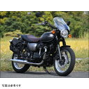シックデザイン ガイラシールド Lサイズ クリア 19年以降 W800 STREET GS48D JP店
