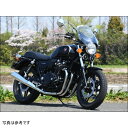 シックデザイン ガイラシールド Mサイズ クリア 19年-21年 CB1100 GS60D JP店