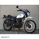 シックデザイン ガイラシールド Mサイズ クリア 02年-13年 250TR GS66 JP店
