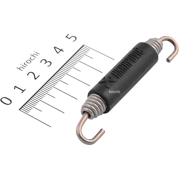 ڥ᡼߸ˤ ݥӥå AKRAPOVIC ޥե顼ץ ϥ P-S1 JPŹ