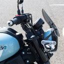 【メーカー在庫あり】 ワールドウォーク XSR125用メーターバイザー ショート・スモーク ws-50-ss JP店